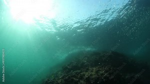 An enchanting underwater scene showcases a lively school of tropical fish swimming over a colorful coral reef, illuminated by sunlight filtering through clear water, creating a serene view