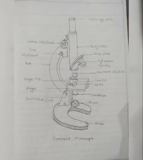 11 th class science Journal practical book | biology experiment no.1.