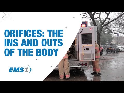 Orifices are the ins and outs of the body