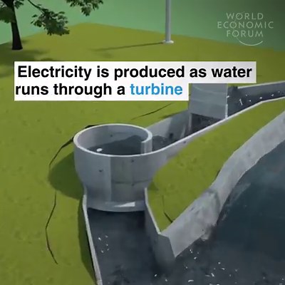 And fish can swim straight through, unharmed. Learn more: http://wef.ch/2Fypv5R | World Economic Forum