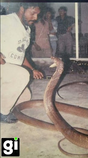 Ali Khan Samsudin, was known as Malaysia's "snake king".