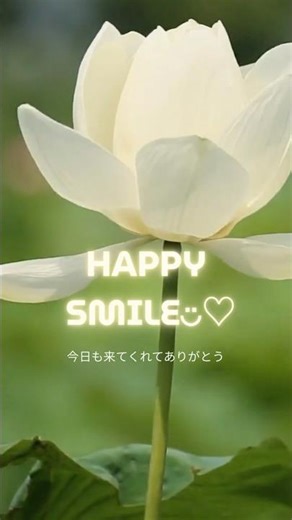 HAPPY SMILE◡̈♡｜心ほぐれるまったりTime