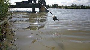 4.1K views · 108 reactions | *** Get ready to feed !!! *** It looks like we'll be on the bank and feeding the fish very soon! They'll certainly be wanting some feed so the extenders on the Flexible Toss pots will certainly come in handy! You can buy these pots right now and support your local tackle shop right here: https://bit.ly/Toss_Pots_Buy_Now | Fish Matrix | Facebook