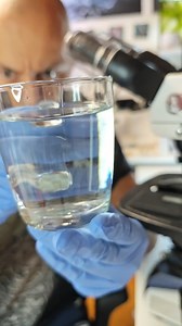 51K views · 1.1K reactions | tap water under #microscope | Mir Glazami Microscopa | Facebook