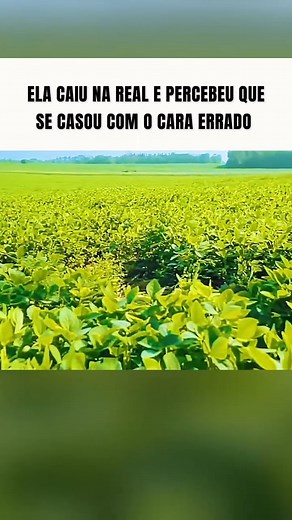 68K views · 1.8K reactions |  O amor verdadeiro nem a morte pode separar. Durante uma viagem de lua de mel, um trágico acidente muda tudo — mas o vínculo entre eles ultrapassa os limites da vida.   FILME: Camille – Um Amor do Outro Mundo  Disponível no Prime Vídeo #filmes #cenas #cortes #romance #drama #fantasia #filmesparaver #cinema | cinecortes | Facebook