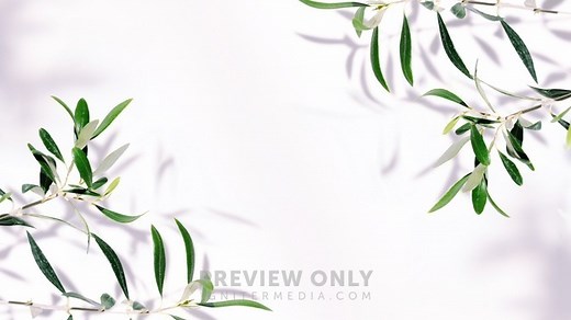 Fruit of the Spirit - 2 - Worship Backgrounds