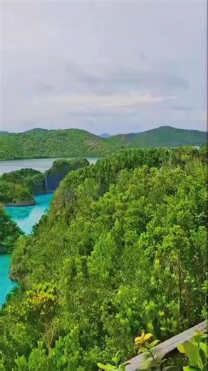 “四王岛” 印尼 Raja Ampat 意思是 “四个国王”，指的是群岛中最主要的四个大岛。四个主要岛屿1.瓦伊吉欧岛2.巴坦塔岛3.萨拉瓦蒂岛4.米索尔岛整个群岛实际上有 1500 个小岛，但这四个最大，因此得名“四王岛”
