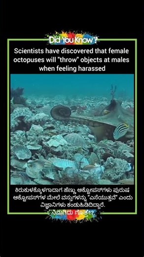 Scientists have discovered that female octopuses will "throw" objects at males when feeling harassed
