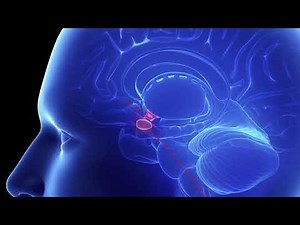 NSS-2 Bridge Device Device Method of Action