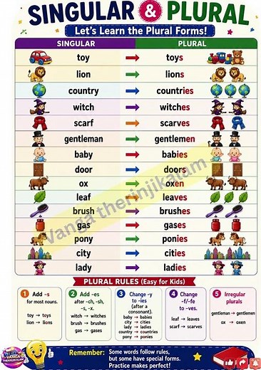 Singular & Plural Nouns || Easy English Grammar || Singular to Plural Words for Kids