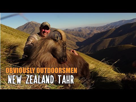 Tahr Hunting, The Hunt Above the Clouds…