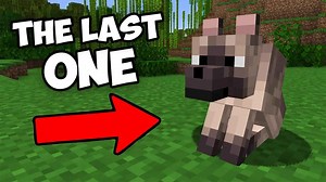 I broke Minecraft’s spawning algorithm to save this wolf (#24)
