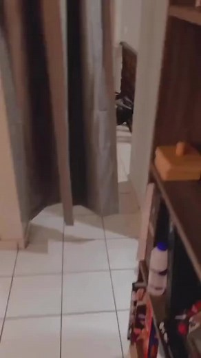 missasinfonia on TikTok