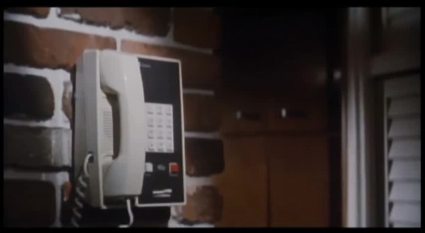 Cape Fear (1991)