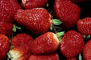 3.7K views · 48 reactions | Today's 4-H Virtual Recess: Louisiana...