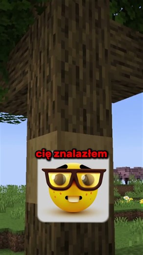 MINECRAFT PROP HUNT 2