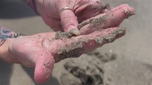 Beachgoers mesmerized by massive swarm of sand fleas spotted on Florida's Space Coast