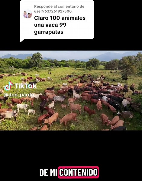 Respuesta a @user9637261927500 #ganado #rancho #fyp