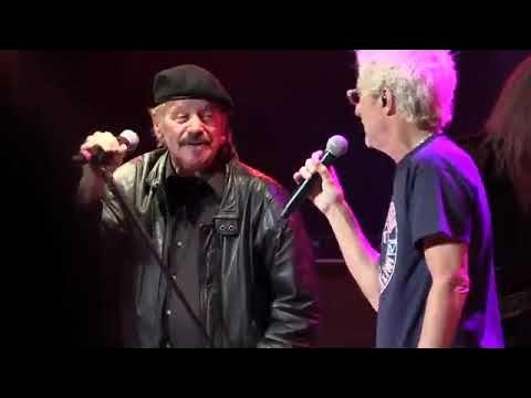 REO Speedwagon Vocalist Terry Luttrell Survives Near Fatal Car Crash