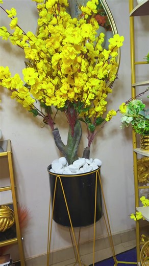 #boutiquededecoration #decorationevenementielle #decoration #plante #pot