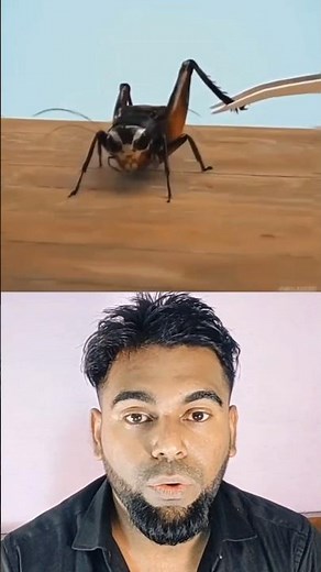 Cricket Insect Leg Recovery. #foryou #shorts #fact #facts