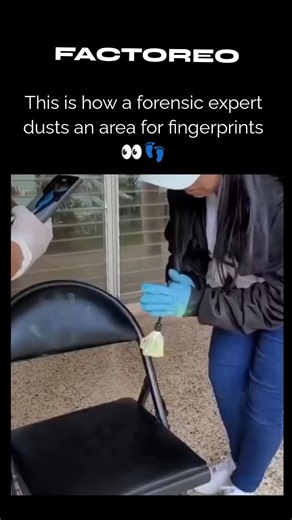 FACTOREO on Instagram: "A forensic expert dusts an area for fingerprints by carefully applying a fine fingerprint powder, usually made of graphite or other materials, to the surface where prints are suspected. The powder adheres to the natural oils and sweat residues left by the ridges of a finger, making the otherwise invisible print visible. A soft brush is used to gently spread the powder without smudging the details. Once the fingerprint becomes clear, it is photographed for documentation an