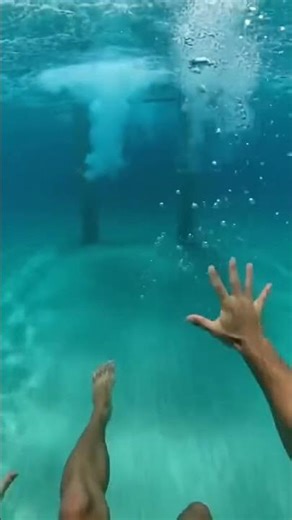 Waterslide into pool full of giant fish #funny #memesSave