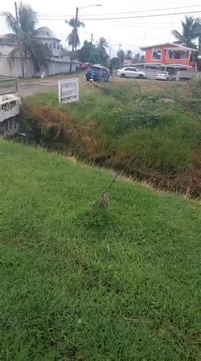 Understanding Love as Action: A Deeper Insight