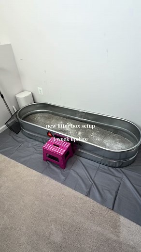 Stock Tank Litter Box Setup with Dr. Elsey’s & Baking Soda – 1 Week Update