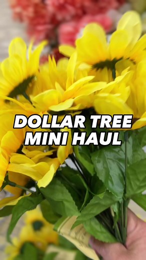 3.6K views · 32 reactions | DOLLAR TREE MINI HAUL...