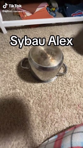 #alex#syabualex#fyp#viral#famous | alex