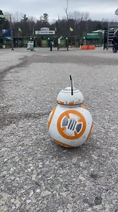 153K views · 2.9K reactions | BB8's Big Zoo Adventure  #MayThe4thBeWithYou #MayThe4th #MayTheFourthBeWithYou | The Toronto Zoo | Facebook