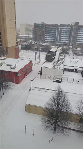 Alex Gray (@alxgray3)’s videos with original sound - Alex Gray