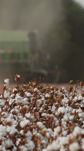 Bales are dropping! #Harvest25 | Pivot Bio