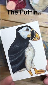 Do you like Puffin’s #gouache #painting #tinypainting #birds #puffin #gouacheartist #aceo #atc #bird