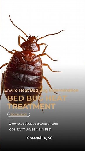 Enviro Heat Bed Bug Extermination Greenville, SC #bedbugremoval #bedbugheattreatment #bedbugs