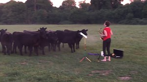 7.9K views · 84 reactions | Woman plays saxophone to Cows at Sunrise/Dawn | Animal Channel | Facebook
