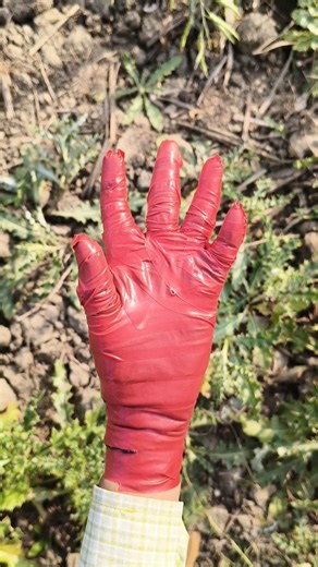 I Lost My House Key 🔑