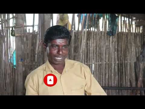 પશુપાલકને અનેક ફાયદા થયા _ CFC PLUS RESULT _ NETSURF NETWORK