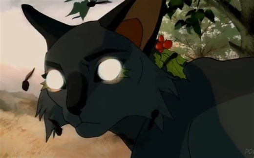 [ 猫武士/剪辑 ] Animator Trⅰbute