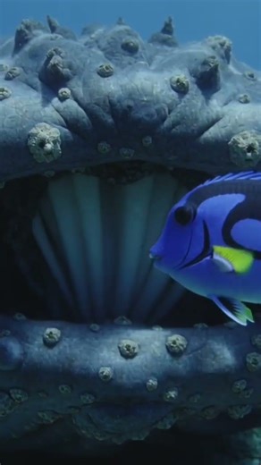 Dory in fact was a killer 😱🐟 #shorts #viralshorts #nemo #sea #underwater