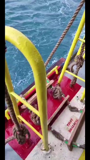 12K views · 218 reactions | Piloting large ships in strong winds. #shipping #containers #shiplife #pilotlife | The Bay Today | Facebook