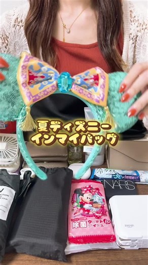 夏ディズニー持ち物リスト！バッグはサコッシュが便利？