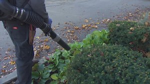 Seattle City Council committee moves forward with gas-powered leaf blower ban