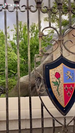 pixiedustedphoebe on TikTok