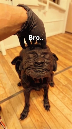 Goon-bo-Tube on Instagram: "C: @ dapodgodtiktok on tt South Korea is using advanced piezoelectric tiles to convert the everyday footsteps of people into clean electricity. As millions move through busy places like Seoul Station, Hongdae, and Myeongdong, the pressure from each step bends the tiles slightly, creating mechanical stress that the piezoelectric material transforms into electrical energy. This power is then used to run LED lights, smart sensors, and digital displays across public space