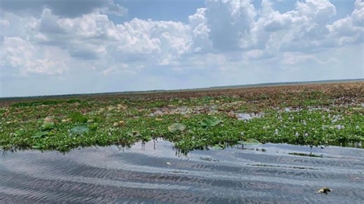Swimming in a hot pools, oceans can be dangerous. What water temperature is too hot?
