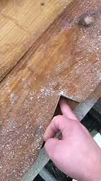 Tips on how to make a canopy with your own hands