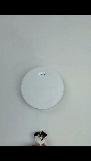 Smoke Test: Test the smoke detector with smoke