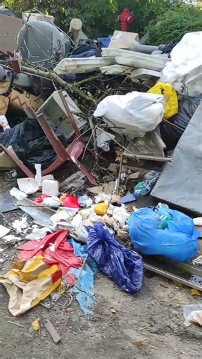 Garbage, junk, and clutter are everywhere. What can you find there?